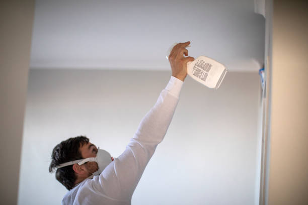 Best Fast Mold Removal  in Prague, OK